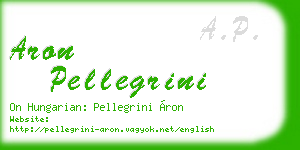 aron pellegrini business card