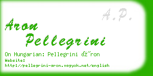 aron pellegrini business card